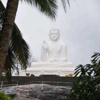 Mihinrale: exploration of Buddha statues and monkeys