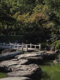 景點推薦：清澄庭園——都市中的靜謐湖景