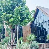The Village Farm To Cafe’