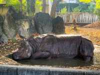 สวนสัตว์และพฤกษศาสตร์ฮิงาชิยามา 東山動植物園