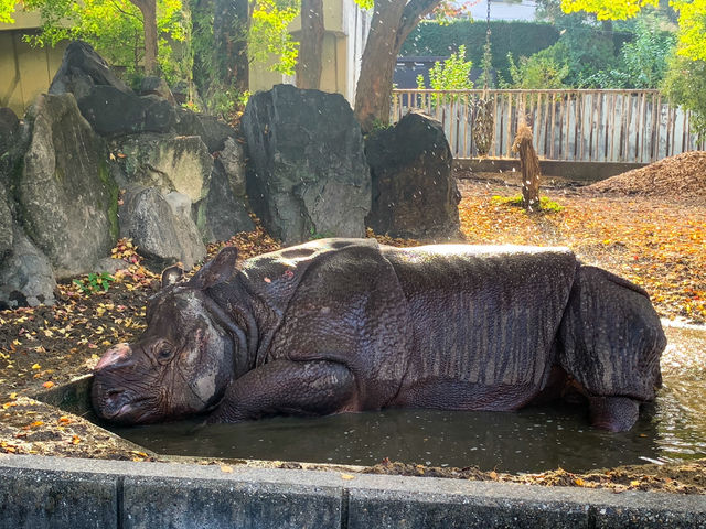 สวนสัตว์และพฤกษศาสตร์ฮิงาชิยามา 東山動植物園