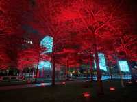 Light show at Shenzhen Civic Center