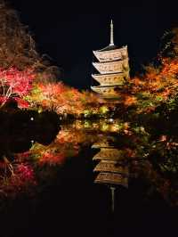【紅葉特集】京都で建造物と紅葉のリフレクションを撮るならここ📸