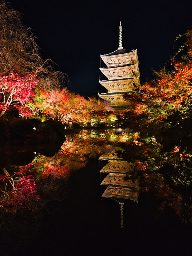 【紅葉特集】京都で建造物と紅葉のリフレクションを撮るならここ📸