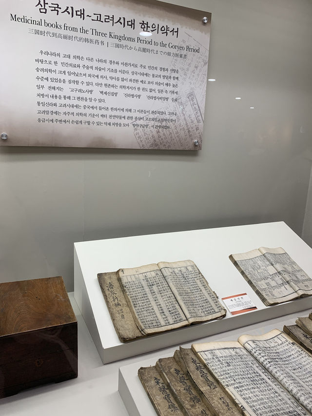 Step Into the Healing Past: A Visit to Yangnyeongsi Oriental Medicine Museum Step Into the Healing Past: A Visit to Yangnyeongsi Oriental Medicine Museum