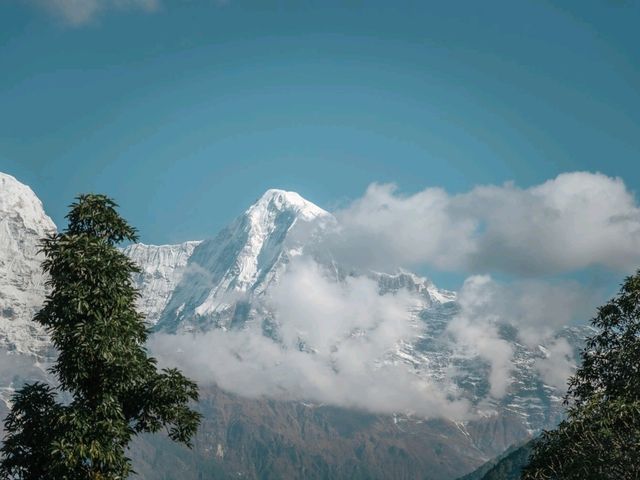 Mardi Himal
