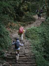 Mardi Himal 