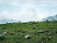 Tateyama Kurobe Alpine Route