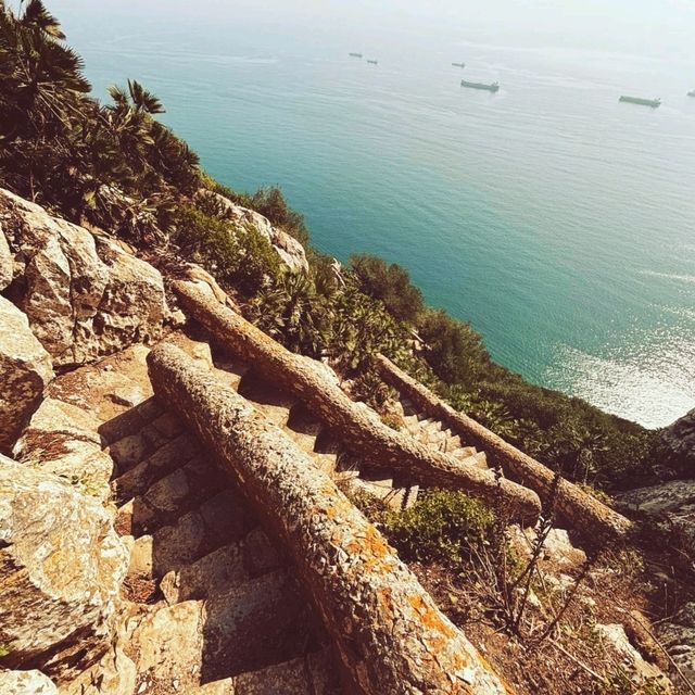 維護良好的登山步道，適合相對身體健壯的郊遊者。