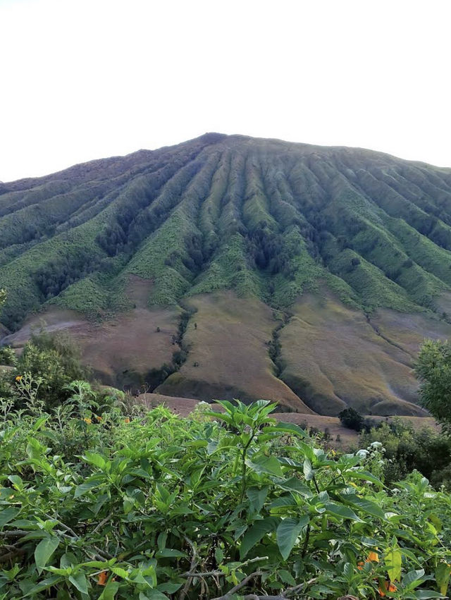 Mount Bromo