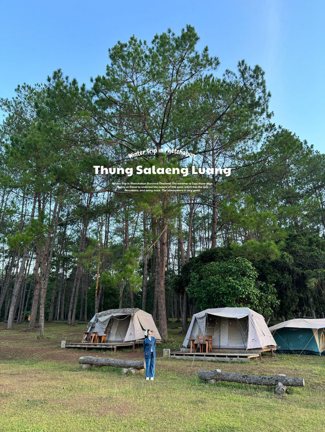 ทุ่งแสลงหลวง | จ.เพชรบูรณ์ 🏕️🌿🦌✨
