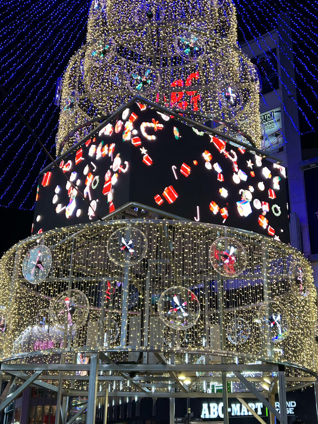 【韓国 釜山】2024光復路冬の光ツリー祭り🎄