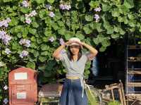 เมืองละเมอ เชียงคาน Space & Stranger House