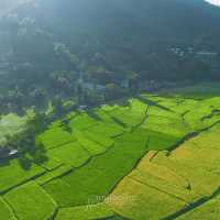 ที่พักน่านสไตล์ญี่ปุ่น น่ารัก ติดลำธาร