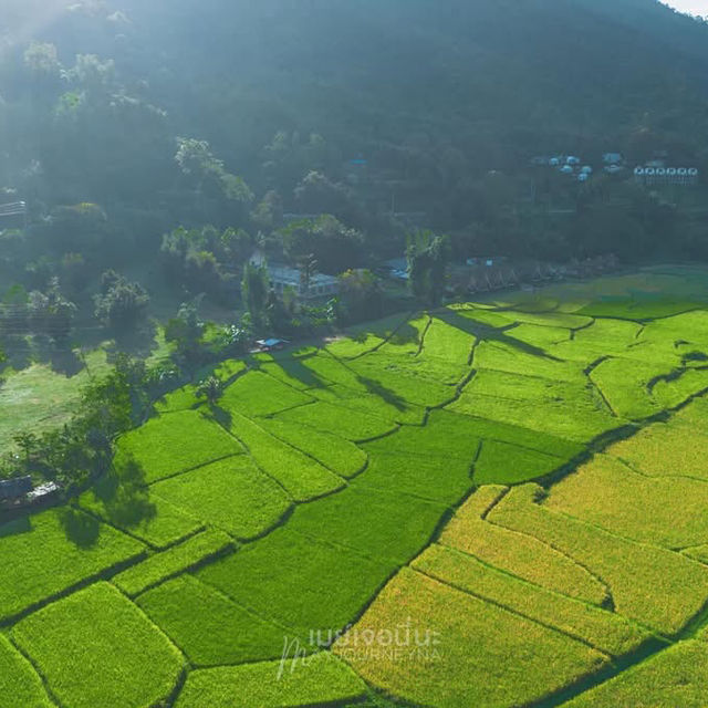 ที่พักน่านสไตล์ญี่ปุ่น น่ารัก ติดลำธาร