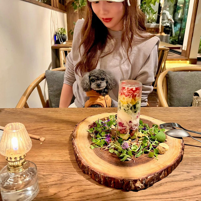 ペットOK🐶軽井沢つるとんたんがお洒落すぎる🥢