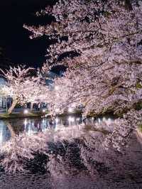 【青森弘前城】桜の名所で感動のお花見を！