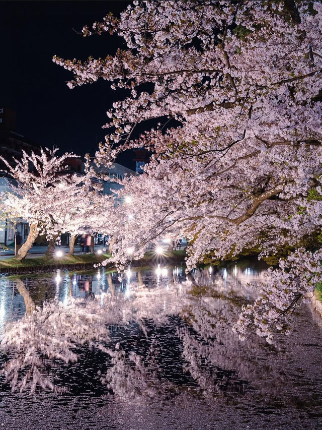 【青森弘前城】桜の名所で感動のお花見を！