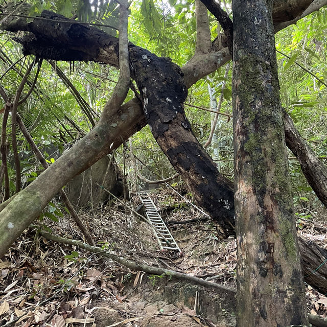 Hike at Bung Muan Bau Sarawak
