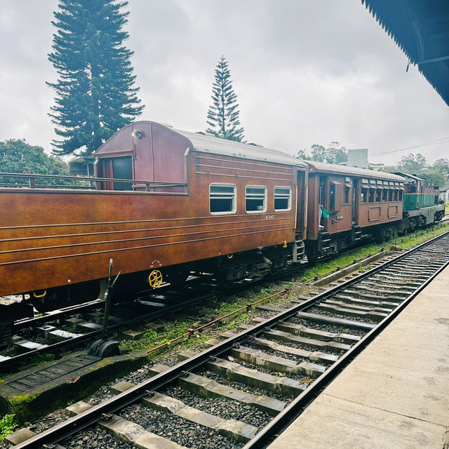 斯里蘭卡🇱🇰茶園火車