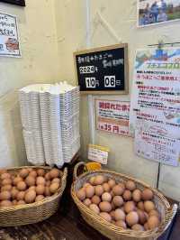 【岡山県/玉島】地元民が愛するたまご専門店の絶品プリン