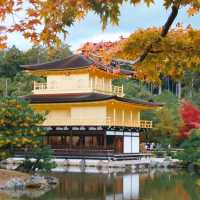 Kinkakuji Temple