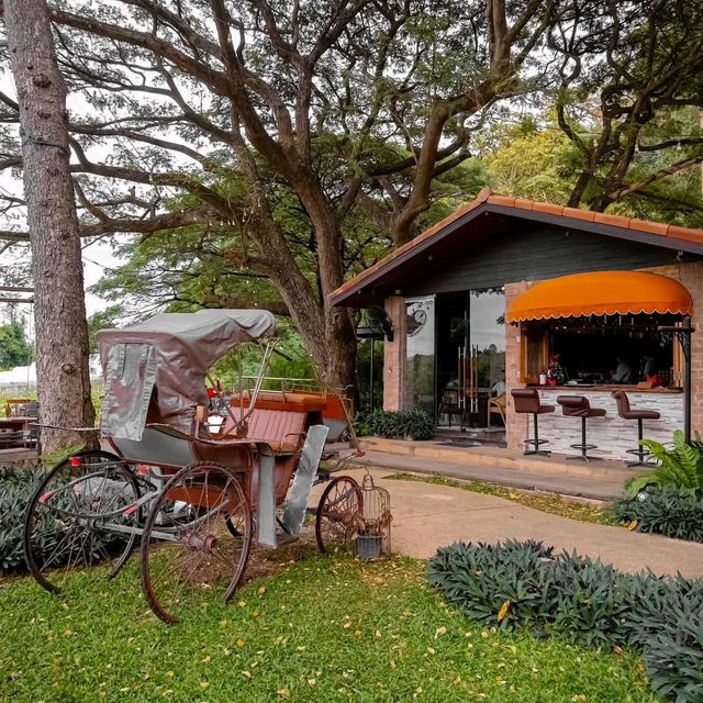 ร้านชิลด์วิวงามในไร่องุ่น #มวกเหล็ก สระบุรี