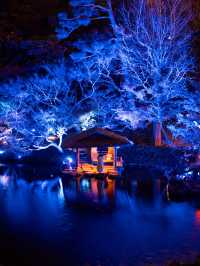 【無料で楽しめる！✨】八芳園のブルーライトアップが幻想的すぎる！！💡