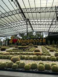 สวนนงนุชพัทยา