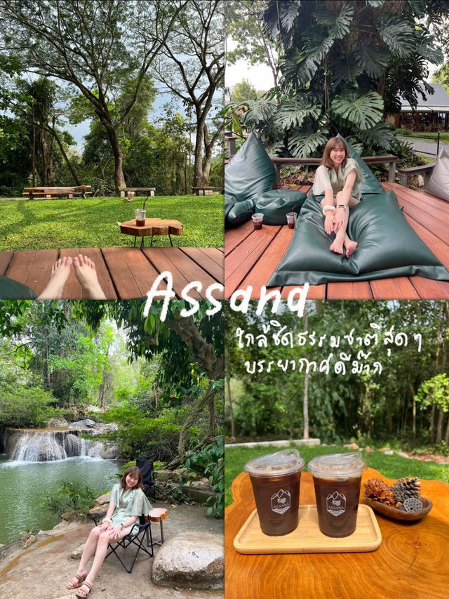 🌳 Assana Cafe เขาใหญ่ 🌳 บรรยากาศดีมาก