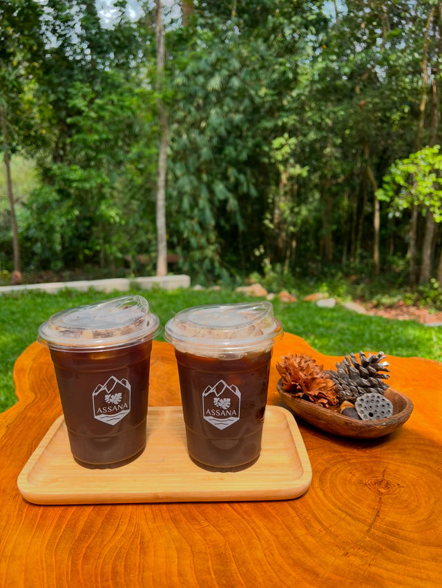 🌳 Assana Cafe เขาใหญ่ 🌳 บรรยากาศดีมาก