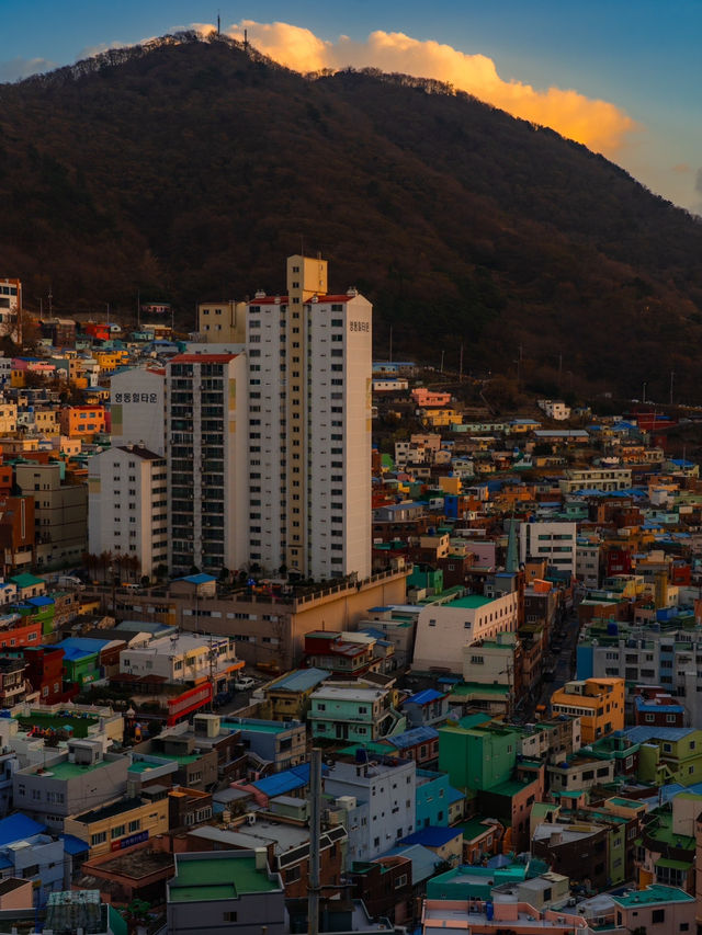 Gamcheon Culture Village 😮💫
