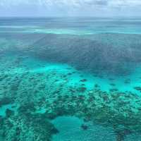 Soaring Above and Diving Below: My Spectacular Day at the Great Barrier Reef!