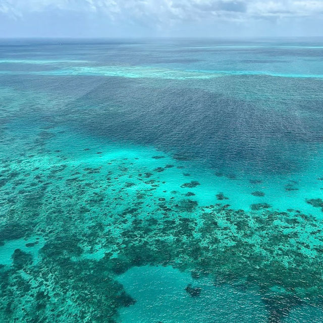 Soaring Above and Diving Below: My Spectacular Day at the Great Barrier Reef!
