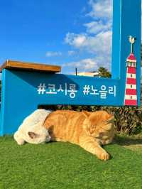 오션뷰와 플랜테리어가 멋진 베이커리카페