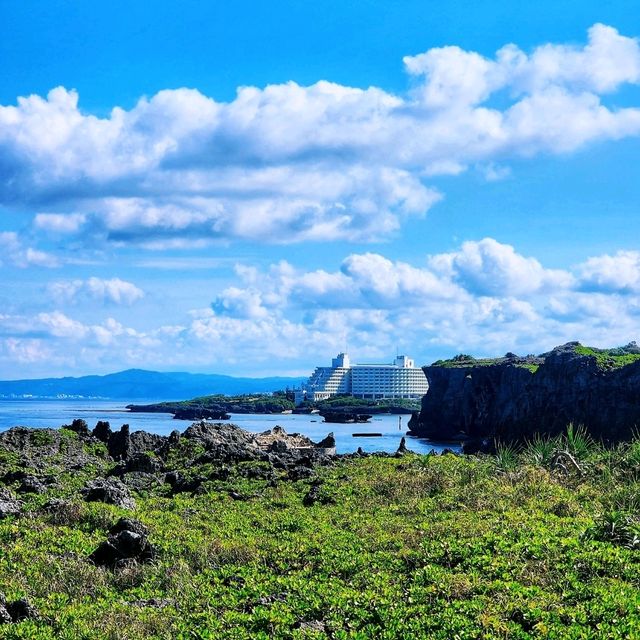 日本沖繩🌊|萬座毛海岸邊的視角🐘