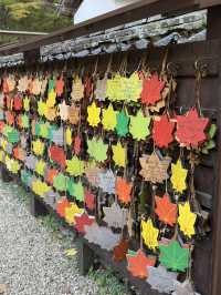 名古屋香積寺-鳥居、寺廟、紅葉與藍天，構成絕美畫面