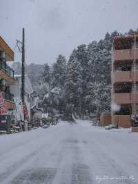 Sendai ในวันที่หิมะโปรยปราย~🌨️❄️🇯🇵