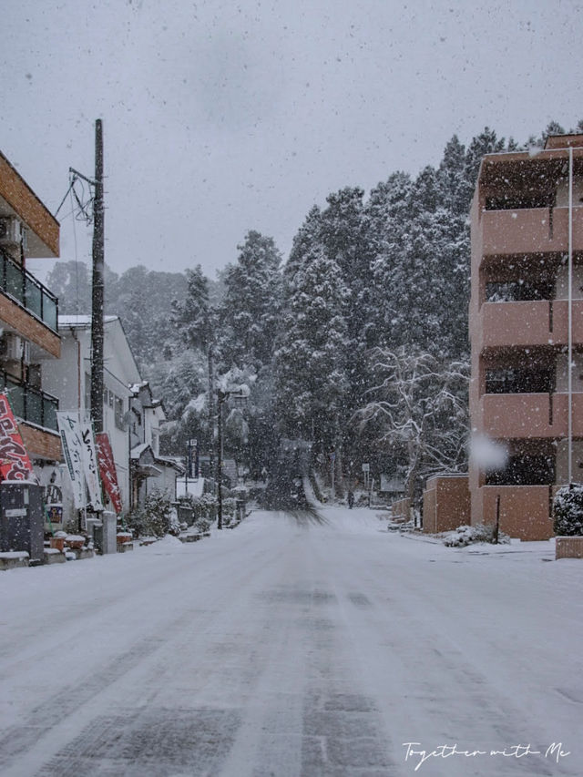 Sendai ในวันที่หิมะโปรยปราย~🌨️❄️🇯🇵
