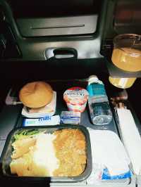 ✈️ Fly with me on Singapore Airlines to Seoul