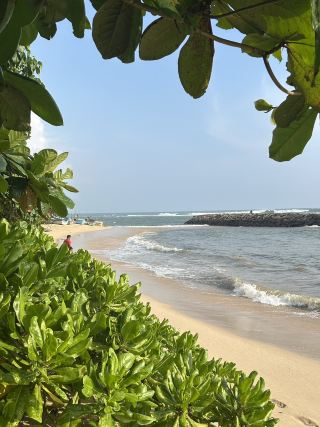 Chill on the numerous beaches in Sri Lanka
