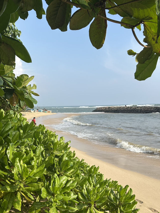 Chill on the numerous beaches in Sri Lanka