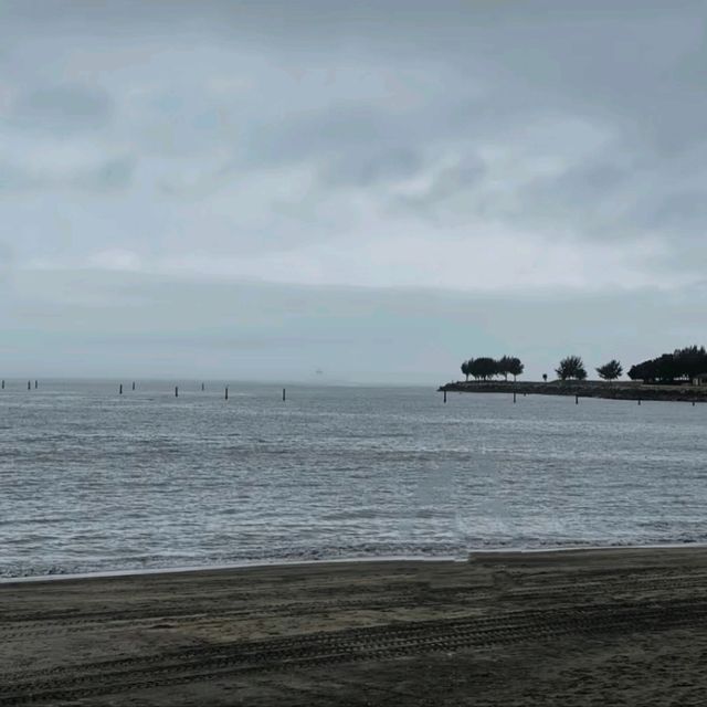 黑沙海灘｜夜光藻點綴的私密沙吻