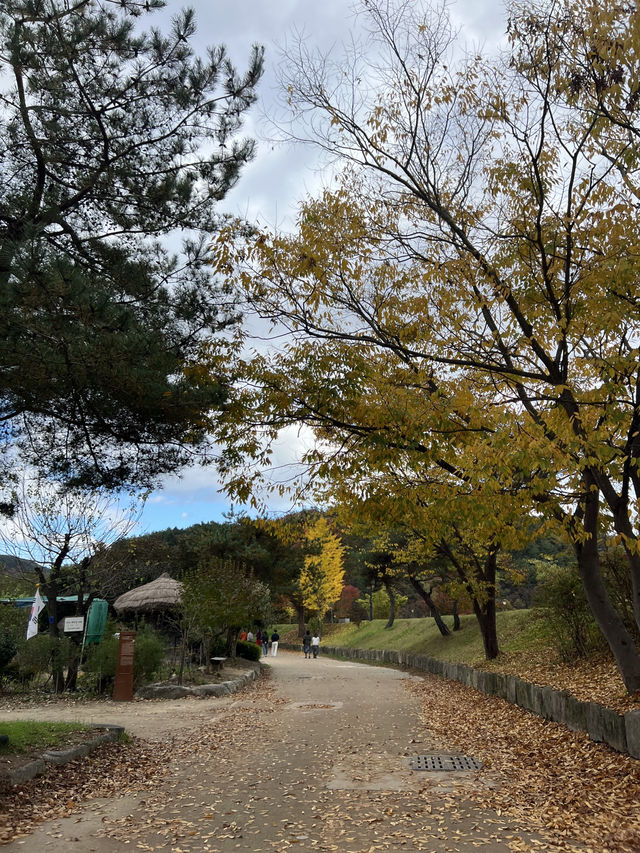 영주 무섬마을 외나무다리