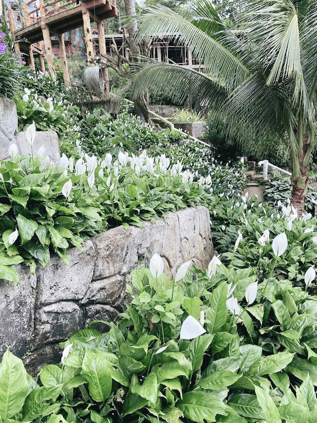 セブ島の山の景色が最高って知ってた？