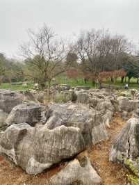 🏞️☺️石林生態公園｜雲林昆明好去處🥾