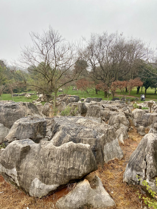 🏞️☺️石林生態公園｜雲林昆明好去處🥾