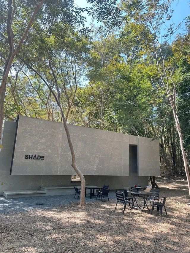 SHADE IN THE WOODS | 