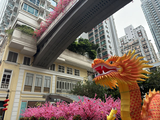 情人節的浪漫之旅：利東街的完美邂逅 💕✨