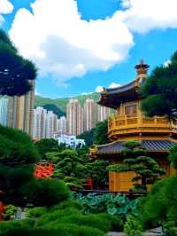 Nan Lian Garden: A Zen Escape in Hong Kong 🌿